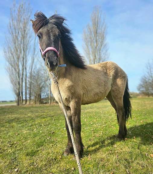 Product image 1 of 9