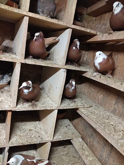 Product image 1 of 6