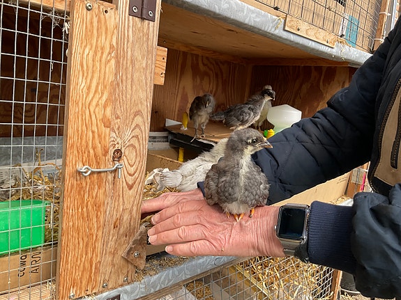 Product image 9 of 10