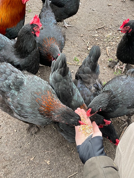 Product image 5 of 9