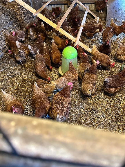 Product image 1 of 8