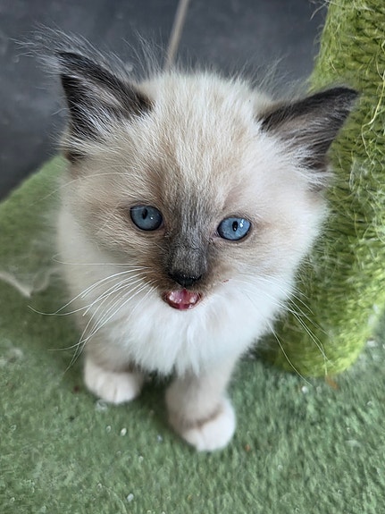 Product image 3 of 6