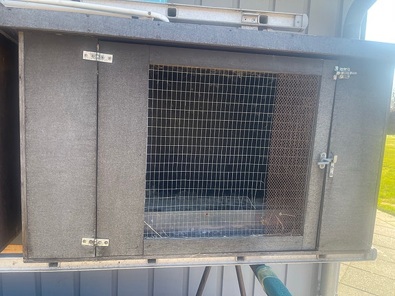 Product image 1 of 8