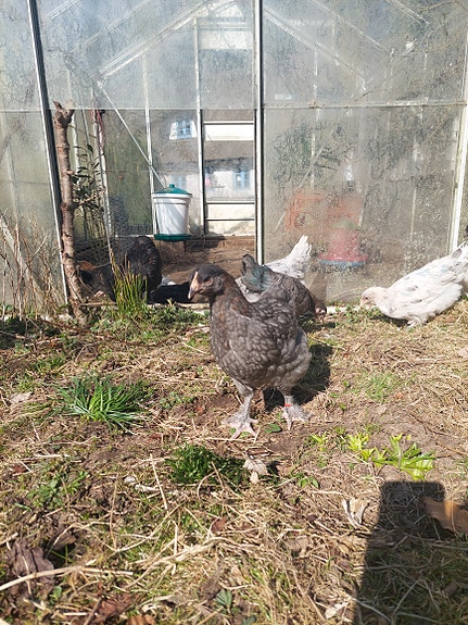 Product image 1 of 4