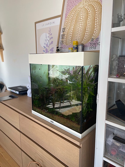 Product image 1 of 7