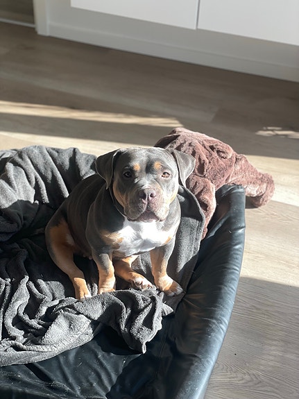 Product image 1 of 5