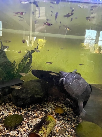 Product image 1 of 8