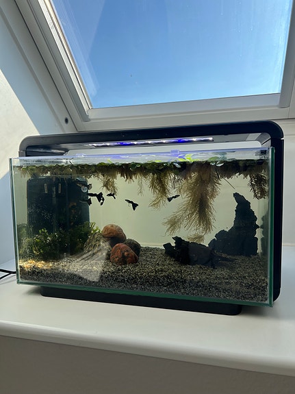 Product image 1 of 6