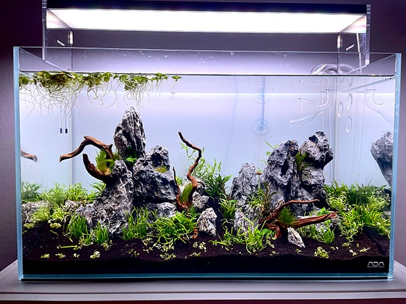 Product image 1 of 10