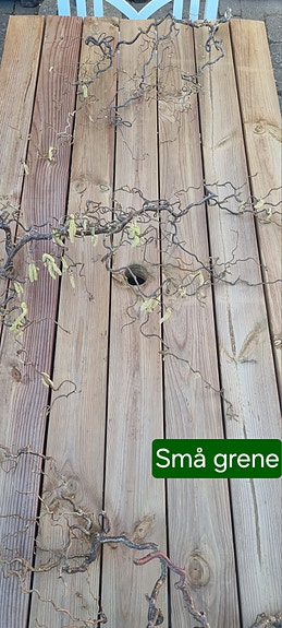 Product image 12 of 16