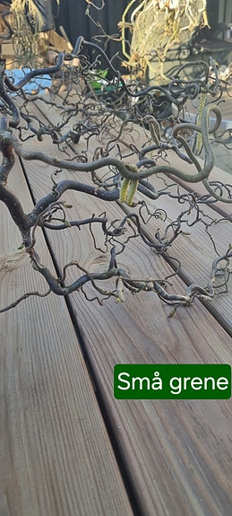 Product image 11 of 16