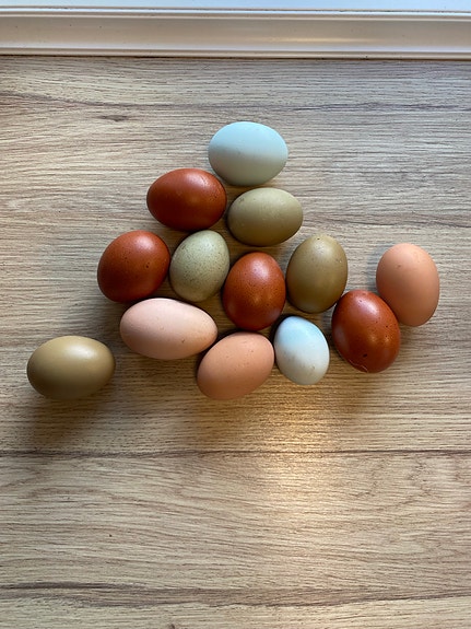 Product image 1 of 10