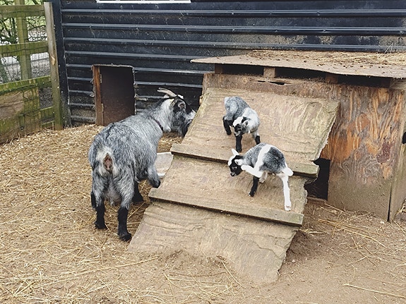 Product image 1 of 5