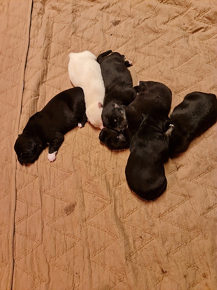 Product image 1 of 9