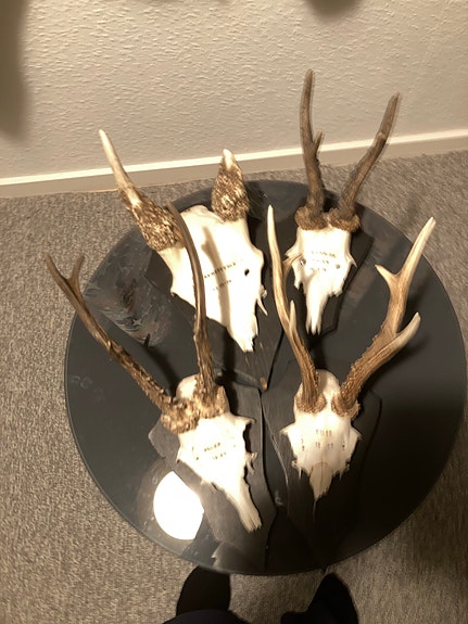 Product image 1 of 3