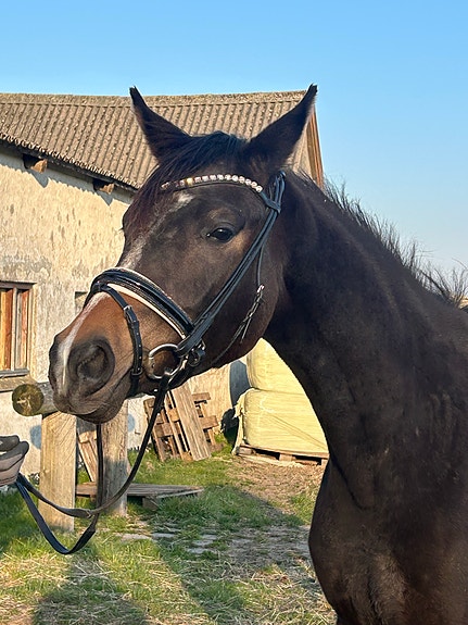 Product image 1 of 7