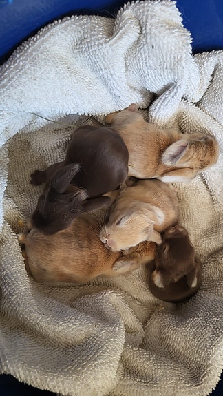 Product image 1 of 7