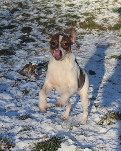 Product image 1 of 10