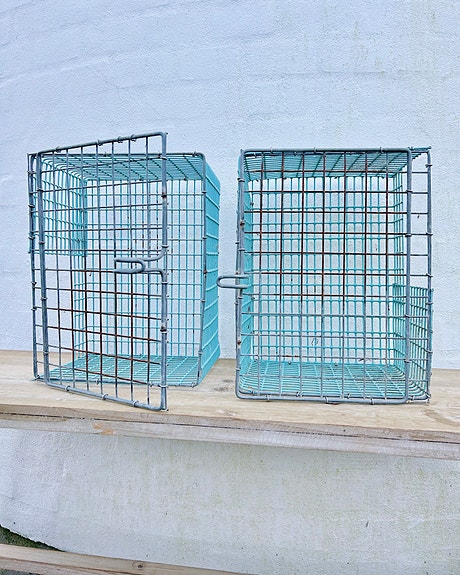 Product image 1 of 7