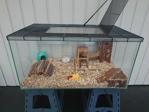 Product image 1 of 7