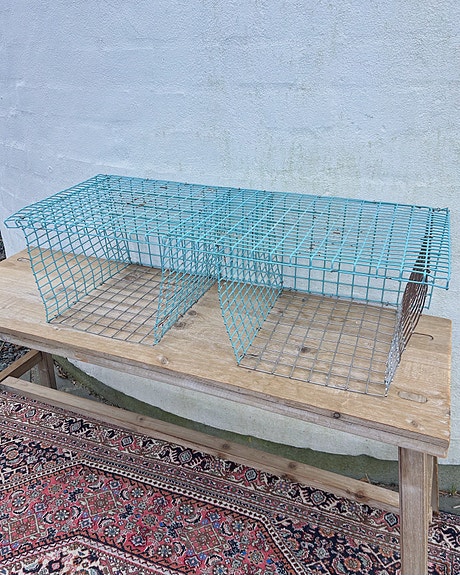 Product image 1 of 7