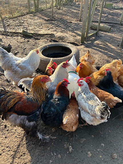 Product image 1 of 6