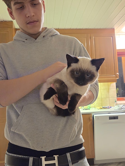 Product image 3 of 7