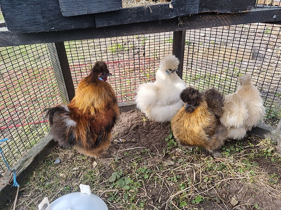 Product image 1 of 5