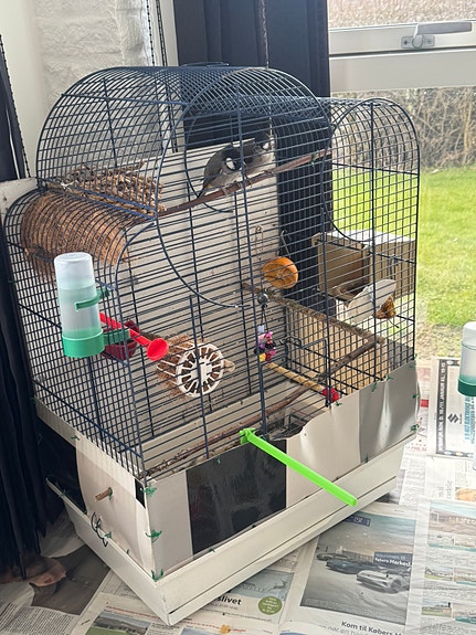 Product image 5 of 9