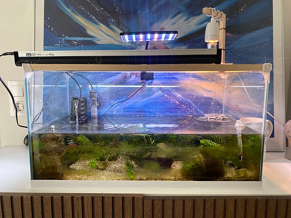 Product image 1 of 10