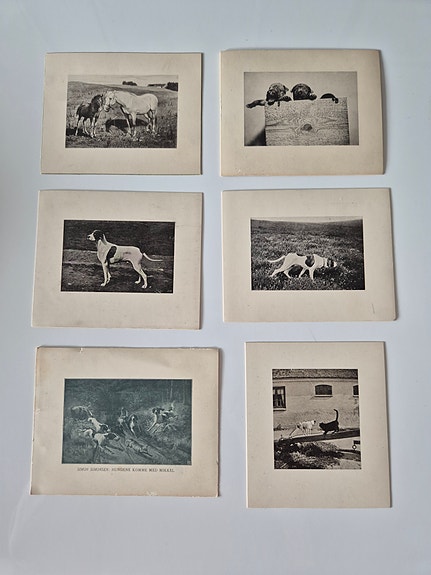 Product image 1 of 6