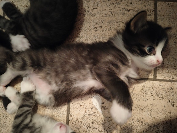 Product image 5 of 9