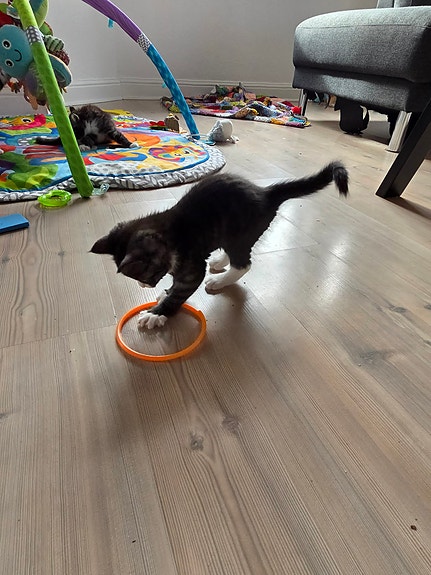 Product image 7 of 9