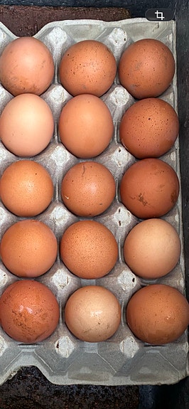 Product image 1 of 6