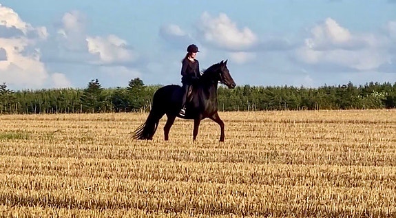 Product image 1 of 9