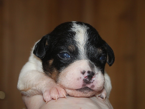 Product image 1 of 8