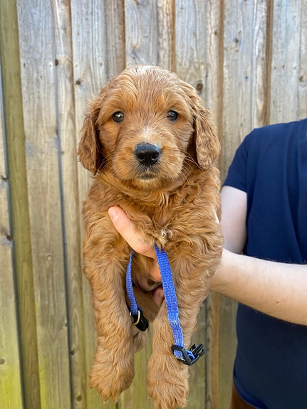 Product image 1 of 10