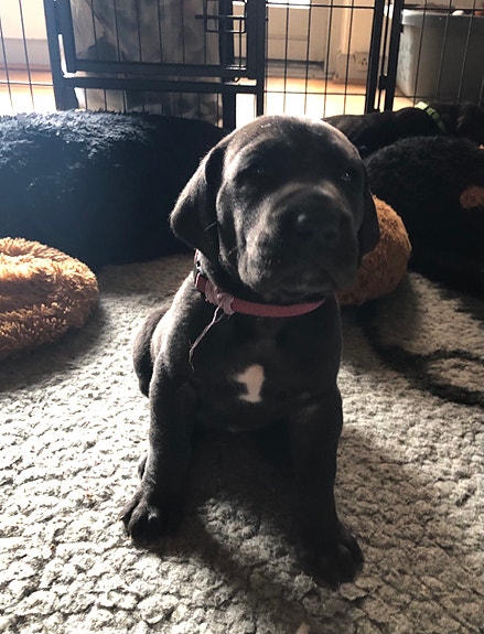 Product image 1 of 7