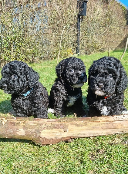 Product image 1 of 10