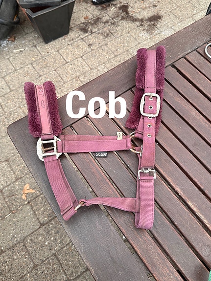 Product image 1 of 10