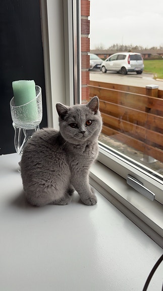 Product image 3 of 9