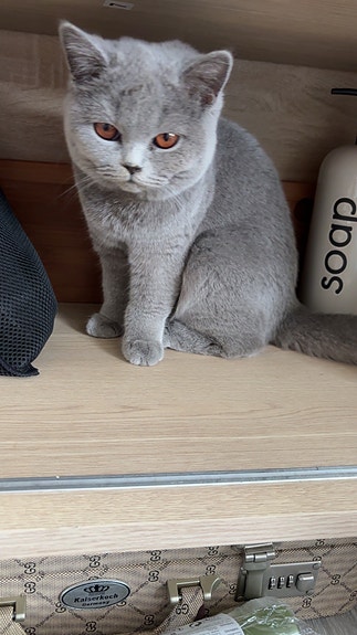 Product image 1 of 9