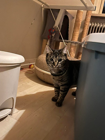 Product image 1 of 6