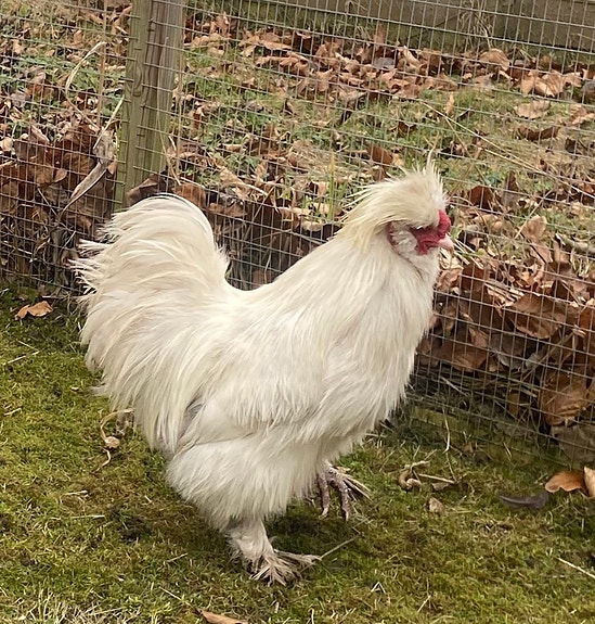 Product image 1 of 3