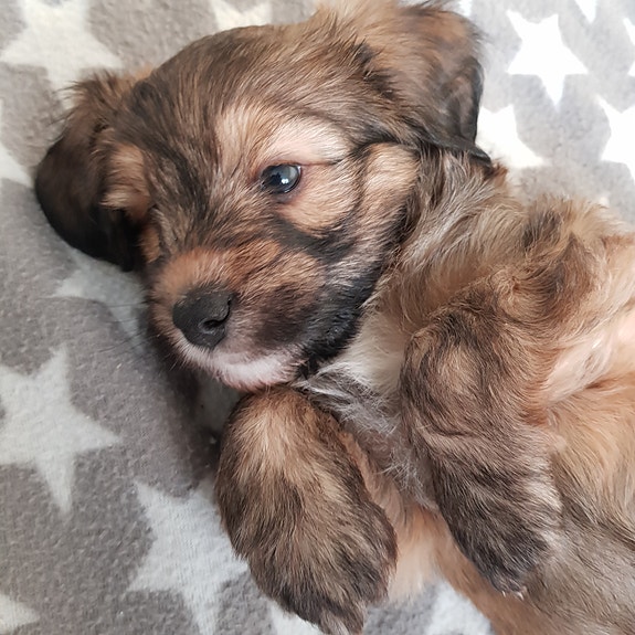 Product image 1 of 10