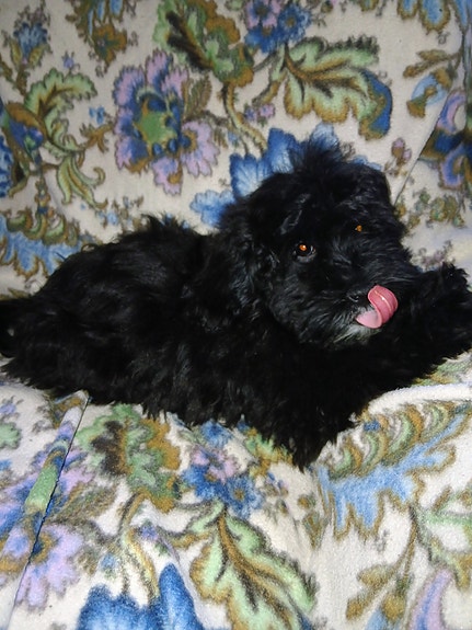 Product image 1 of 10