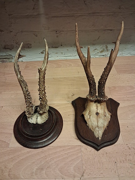 Product image 1 of 8