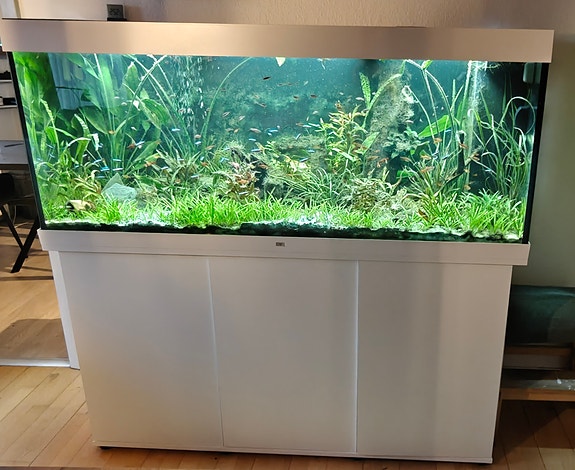 Product image 1 of 7