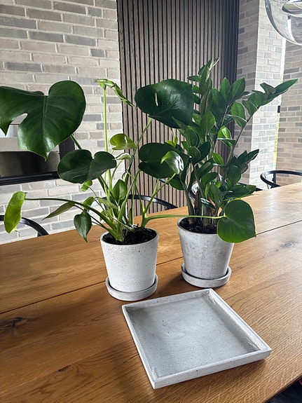 Product image 1 of 10