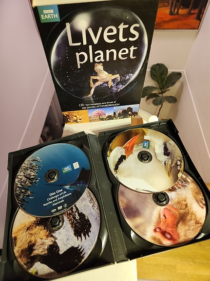 Product image 3 of 10